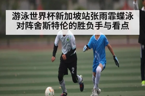 游泳世界杯新加坡站张雨霏蝶泳对阵舍斯特伦的胜负手与看点 | kaiyun