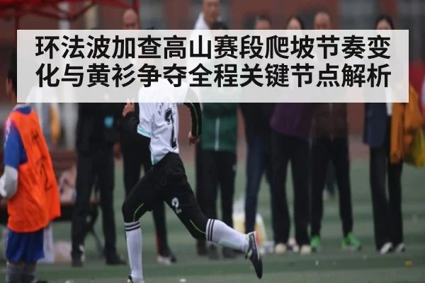 环法波加查高山赛段爬坡节奏变化与黄衫争夺全程关键节点解析（kaiyun）